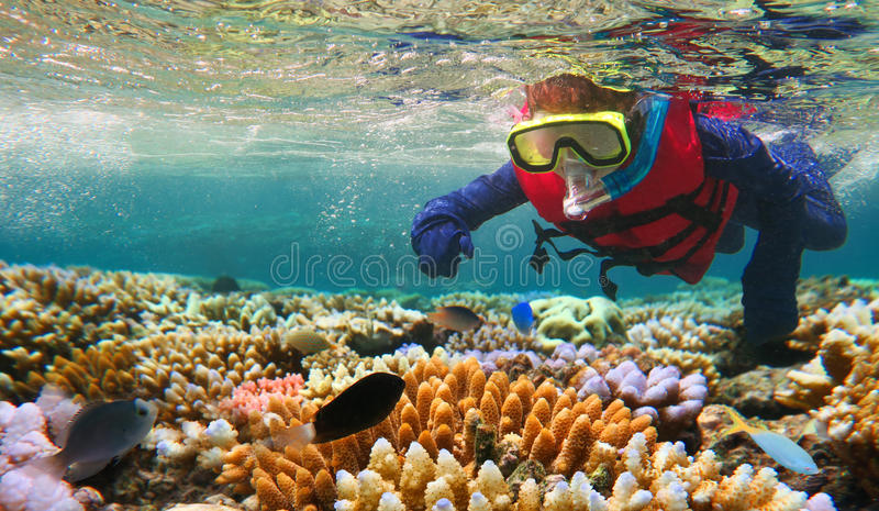 Scuba and Snorkel in Australia