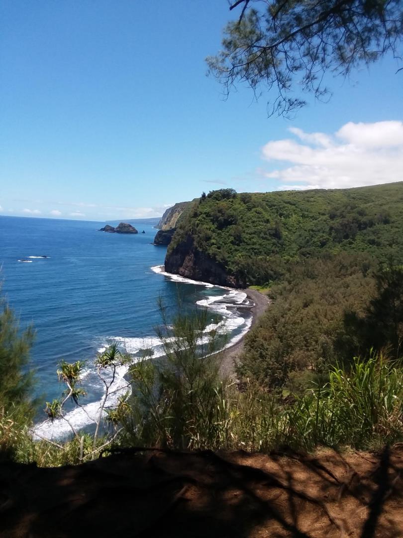 The Big Island was were Quin and Liz got married