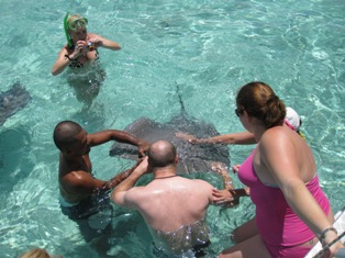 Swim with the Sharks and Rays in Paradise! 